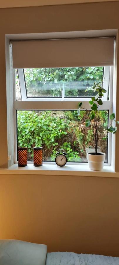 Blima Central Rooms Dublin Dış mekan fotoğraf